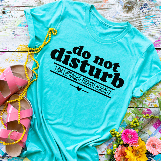 Do Not Disturb, I Am Disturbed Enough Already T-Shirt